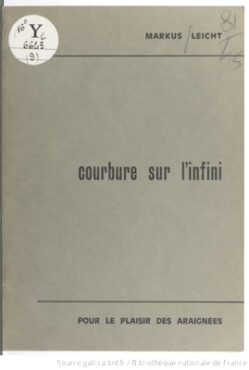 Courbure sur l'infini, de Markus Leicht. Ici couverture de la réédition illégale en ebook, par FeniXX.
