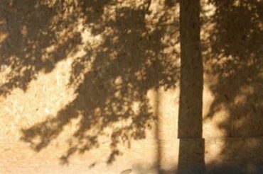 Ombres et lumières. Photo Michel Léger.