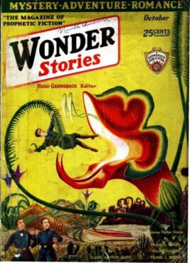 Wonder Stories